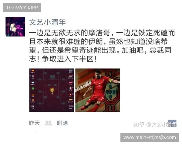 世界杯比利时对阵伊朗比赛中教练布置的战术策略全面解析